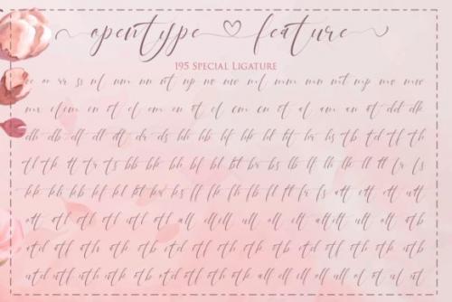 Pandora Calligraphy Font