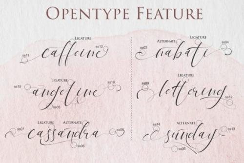 Pandora Calligraphy Font