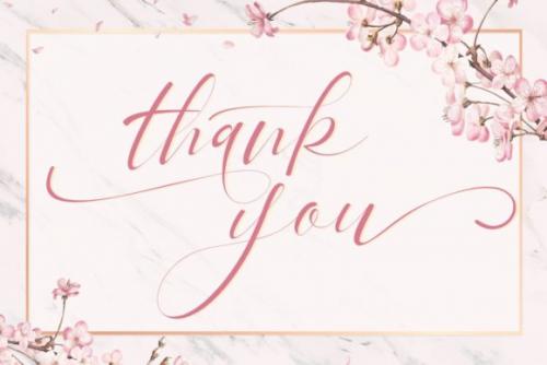 Pandora Calligraphy Font