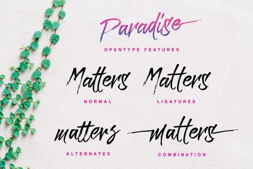 Paradise Brush Font
