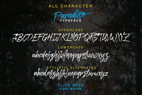 Paradise Brush Font