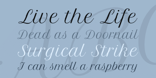 Petit Formal Script Font