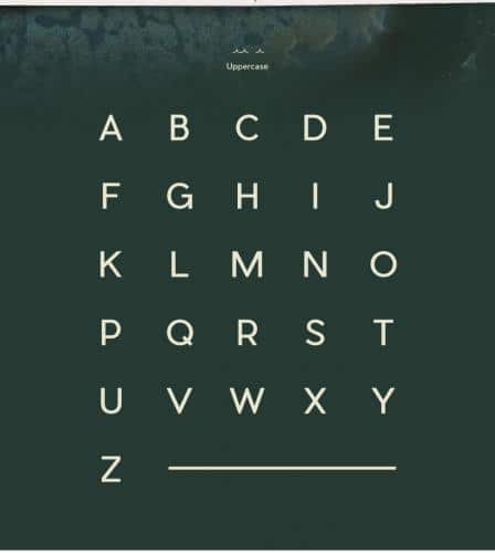 Pier Sans Font Family