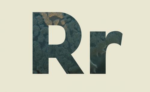 Pier Sans Font Family