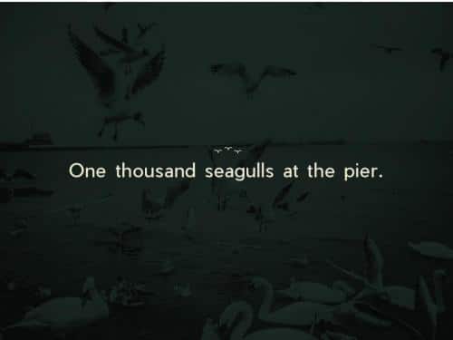 Pier Sans Font Family