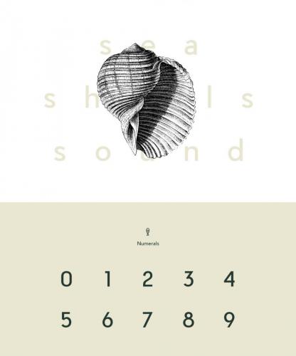 Pier Sans Font Family