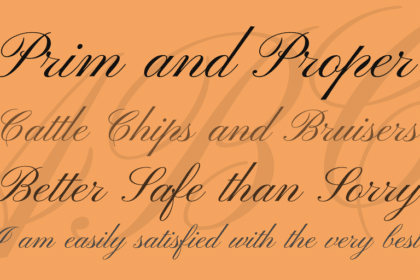Pinyon Script Font