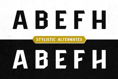 Pittsbrook Sans Font
