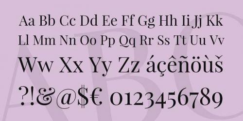 Playfair Display Font