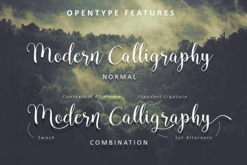 Pradyse Script Font