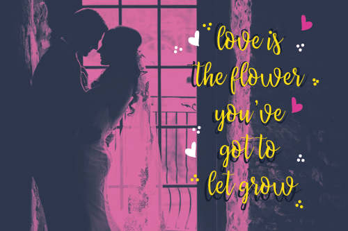 Priscilla Script Font