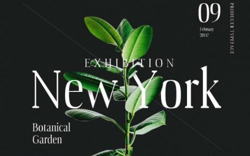 Producer Serif Font