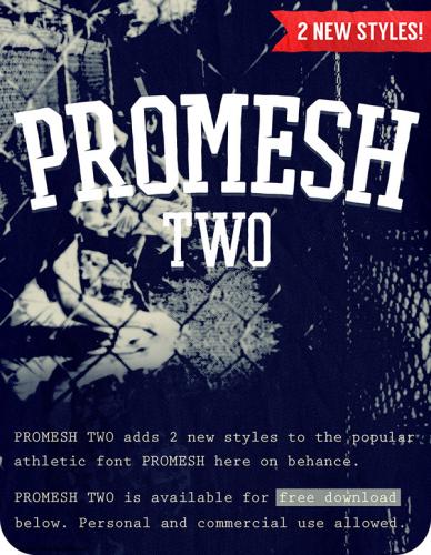 Promesh Two Font