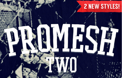 Promesh Two Font