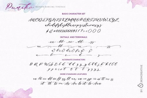 Puniko Rough Script Font