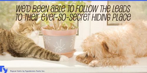Pupcat Font