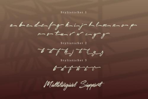 Qillsey Einstein Script Font