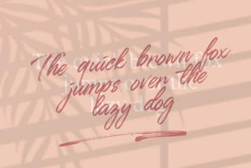 Qillsey Einstein Script Font