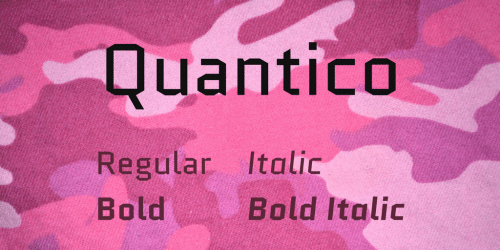 Quantico Font Family