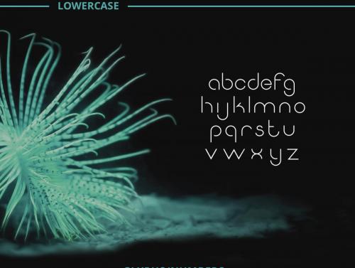 Quantum Font