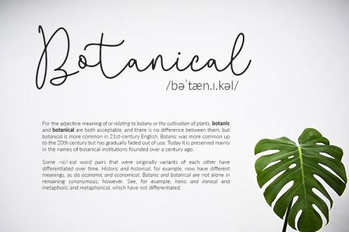 Questa Whitte Signature Font