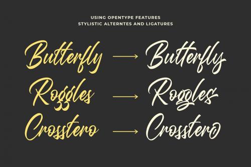 Questario Brush Style Font