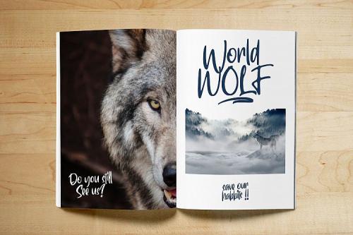 Ragnarock Script Font