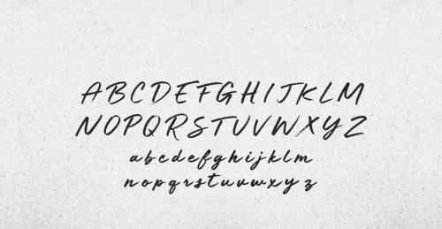 Rare Essence Script Font