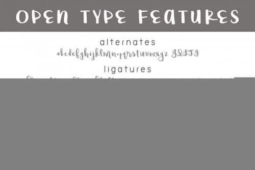 Raspberry Moonshine Font