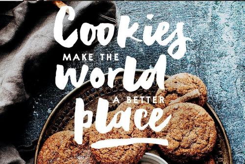 Reckless Brush Font Free