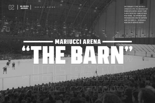 Redwing Display Font