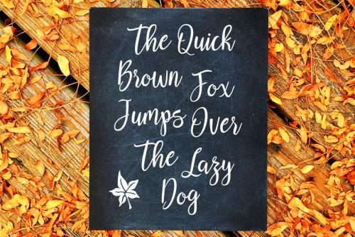 Reshonta Calligraphy Font