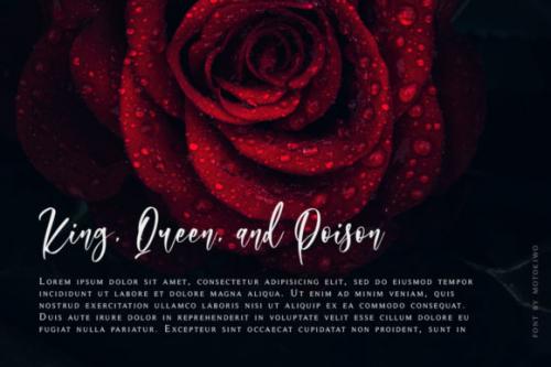 Ridiculous Calligraphy Font