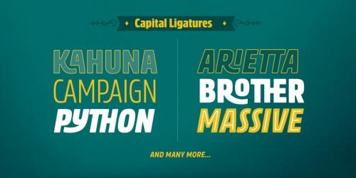 Rockeby Condensed Font