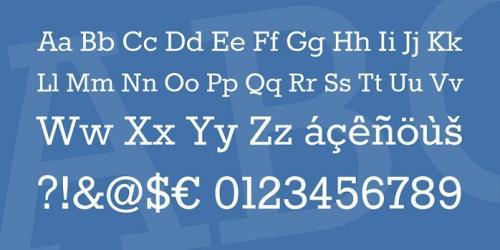 Rokkitt Slab Serif Font Family