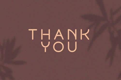 Rollestix Sans Serif Font