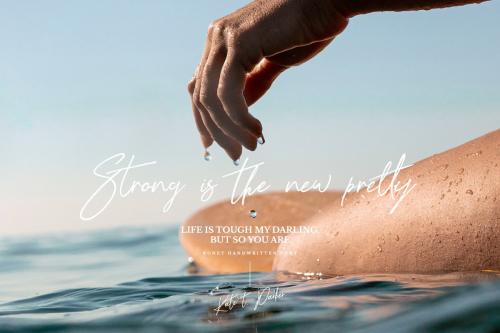 Ronet Script Font