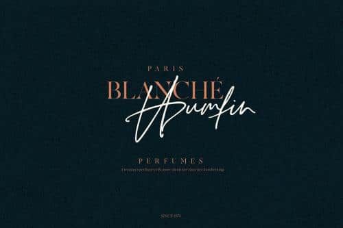 Ronet Script Font