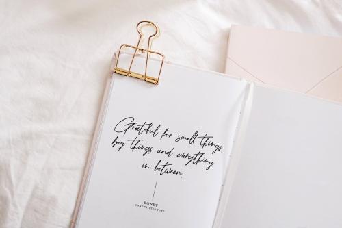 Ronet Script Font