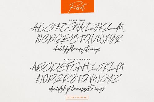 Ronet Script Font