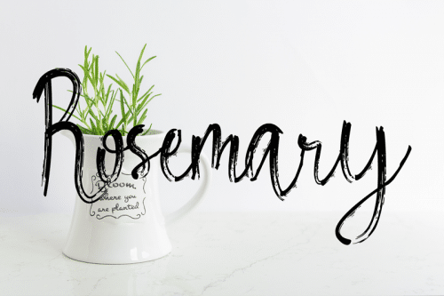 Rosemary Font