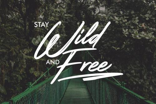 Rotters Brush Font