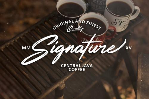 Rotters Brush Font