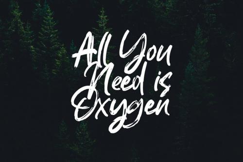 Roulette Brush Font