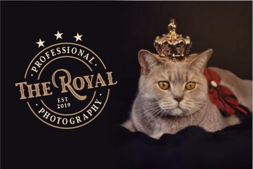 Royal King Typeface