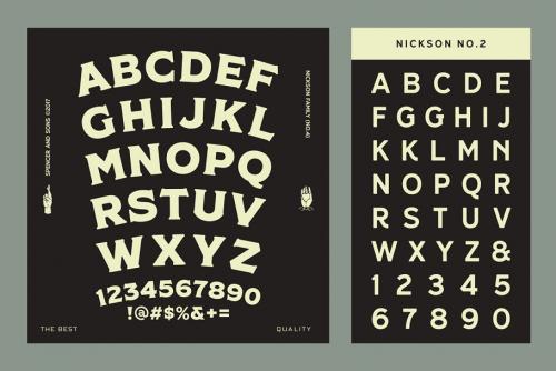 SS Nickson Font Bundle Social Security Card Fonts