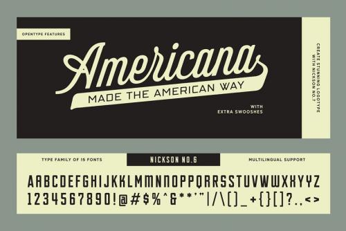 SS Nickson Font Bundle Social Security Card Fonts