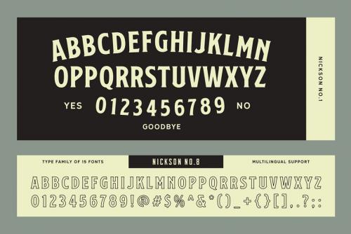 SS Nickson Font Bundle Social Security Card Fonts