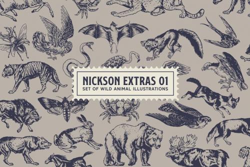 SS Nickson Font Bundle Social Security Card Fonts