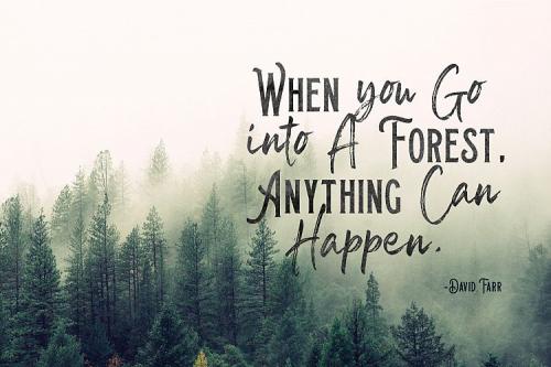 Sail Royals Brush Font